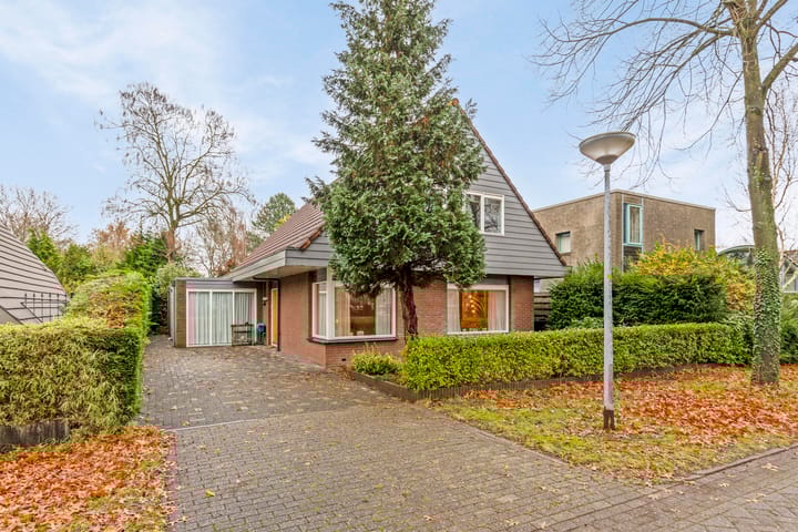 Foto 43 van Reggeplantsoen 12