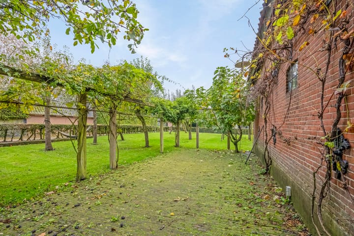 Foto 35 van De Brink 6