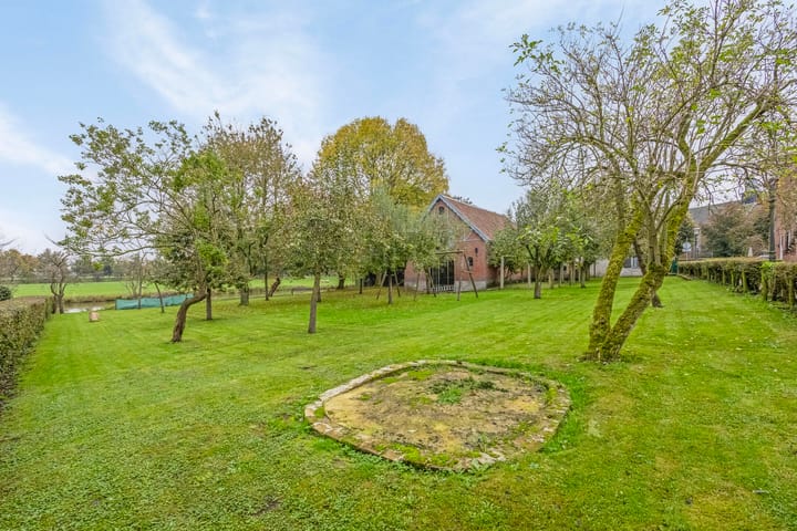 Foto 37 van De Brink 6