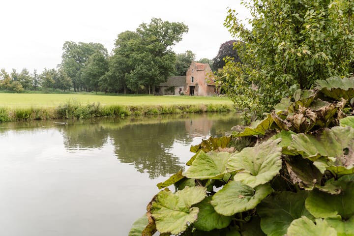 Foto 42 van De Brink 6