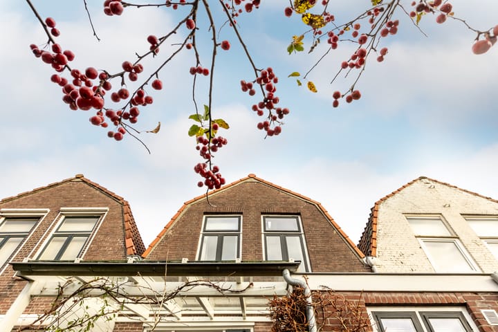 Foto 63 van Oude Singel 162