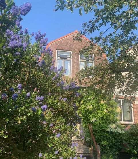 Foto 86 van Oude Singel 162