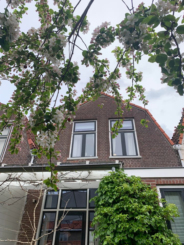 Foto 87 van Oude Singel 162