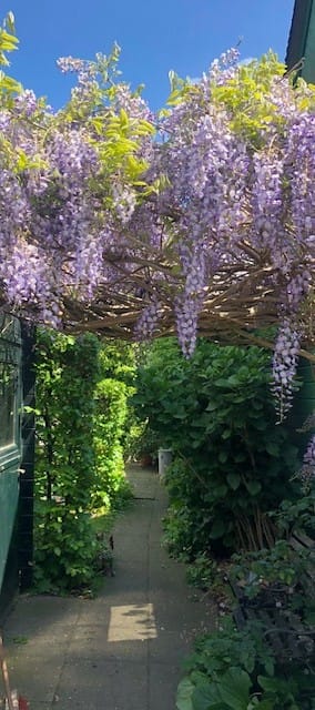 Foto 89 van Oude Singel 162