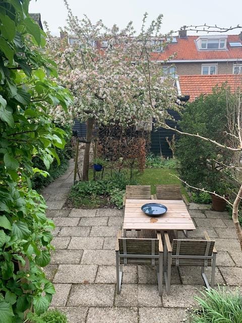 Foto 90 van Oude Singel 162