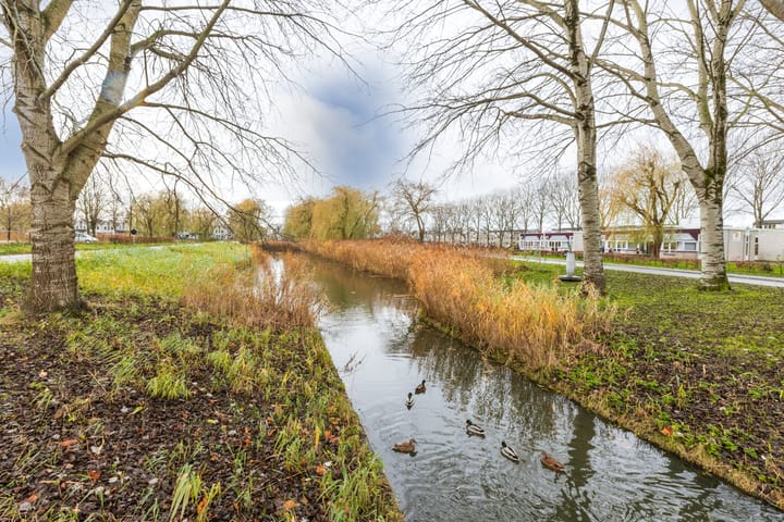 Foto 40 van C. van Eesterenplein 8