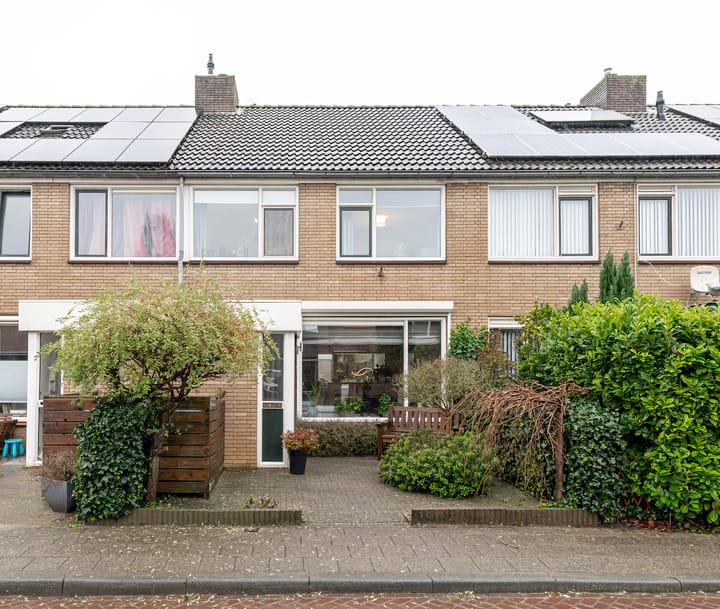 Foto 1 van Pruimeboom 26