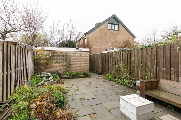 Foto 13 van Pruimeboom 26