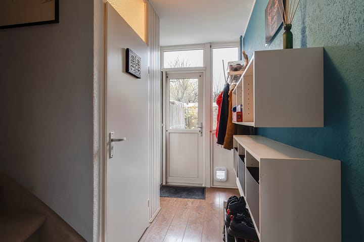 Foto 15 van Pruimeboom 26