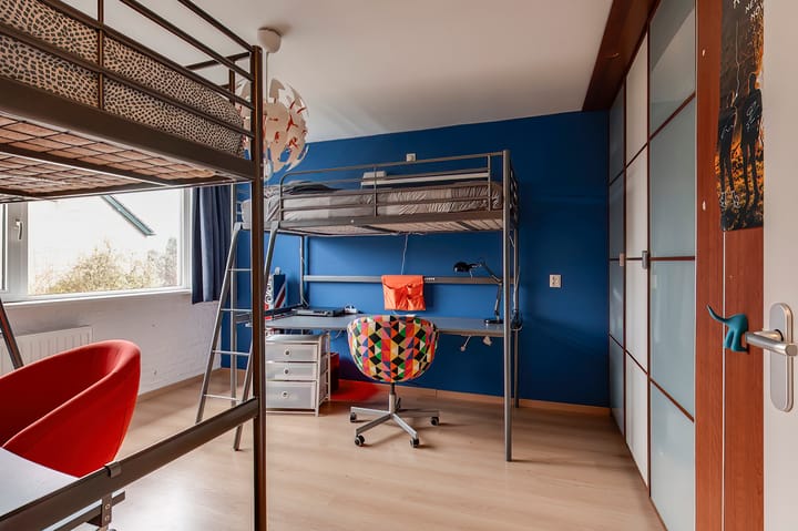 Foto 16 van Pruimeboom 26