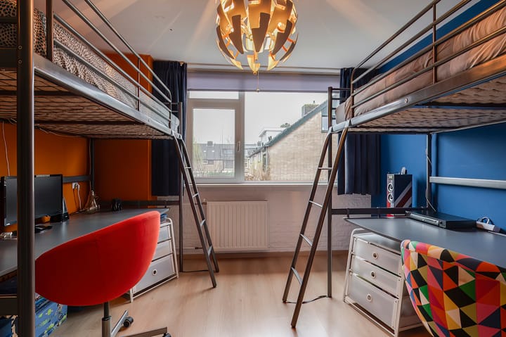 Foto 17 van Pruimeboom 26