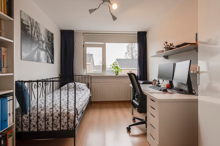 Foto 19 van Pruimeboom 26