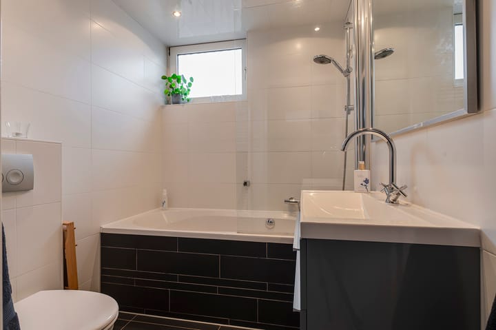 Foto 20 van Pruimeboom 26