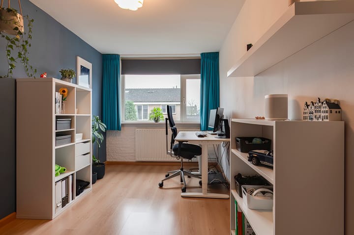 Foto 23 van Pruimeboom 26