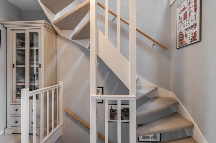 Foto 25 van Pruimeboom 26