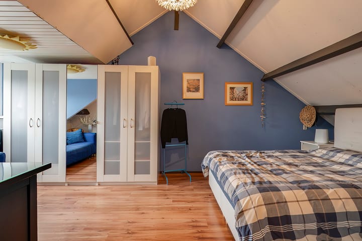 Foto 26 van Pruimeboom 26