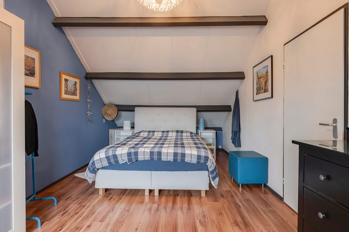 Foto 27 van Pruimeboom 26