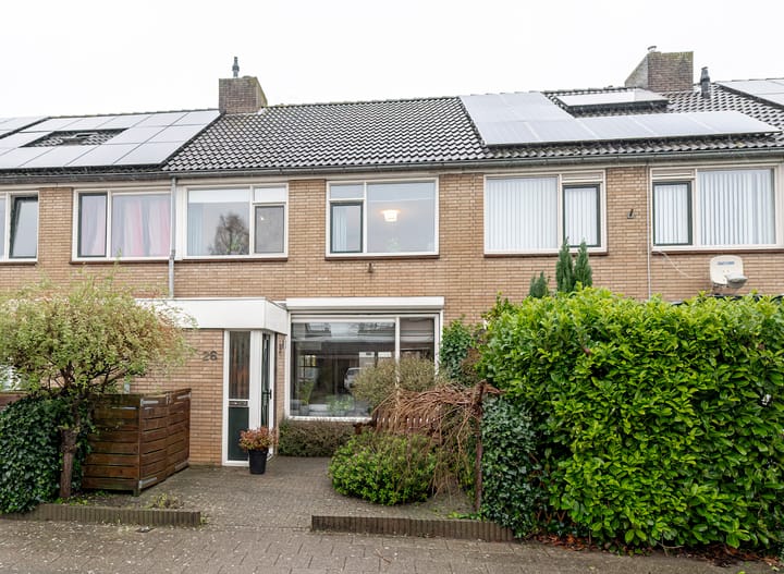 Foto 30 van Pruimeboom 26