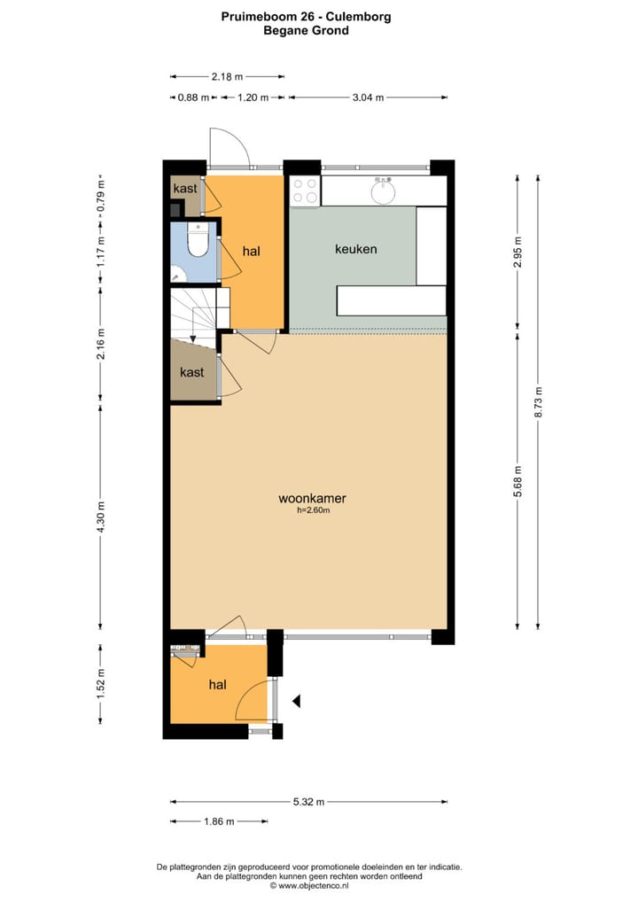 Foto 31 van Pruimeboom 26