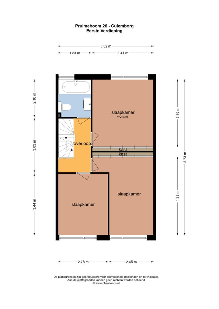 Foto 34 van Pruimeboom 26