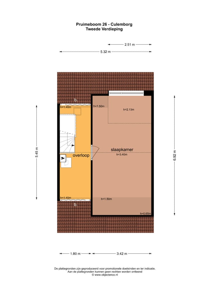 Foto 37 van Pruimeboom 26