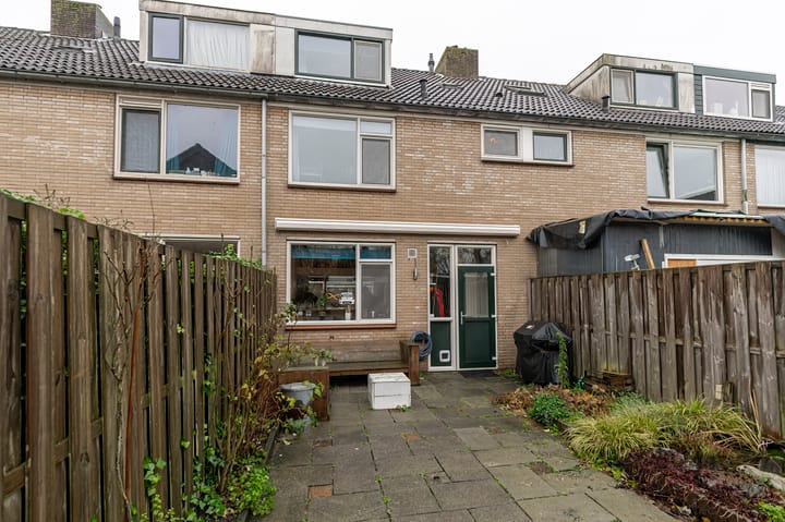 Foto 2 van Pruimeboom 26