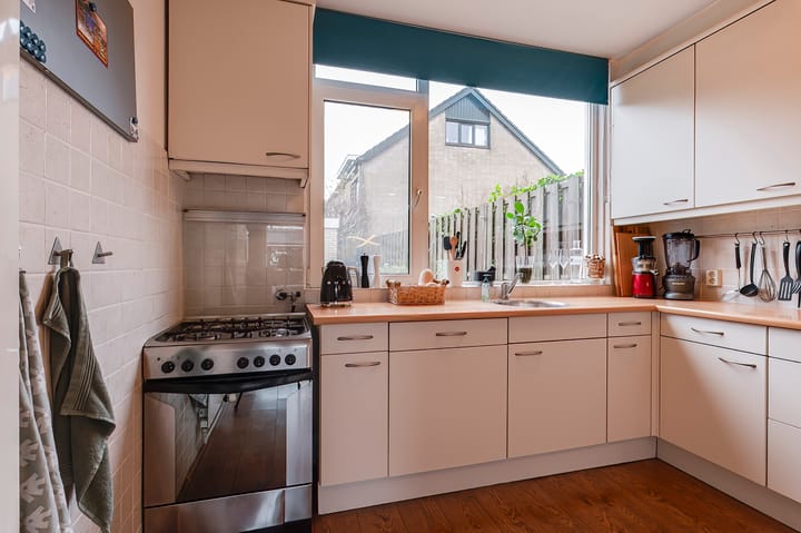 Foto 10 van Pruimeboom 26