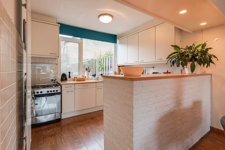 Foto 9 van Pruimeboom 26