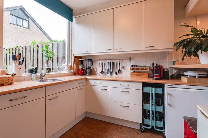 Foto 11 van Pruimeboom 26