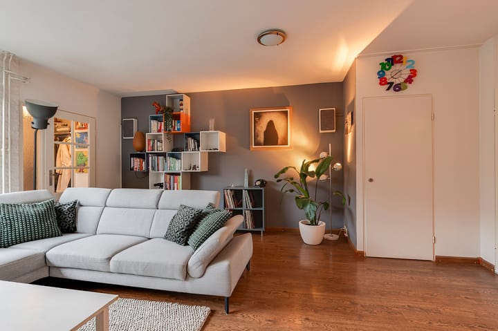 Foto 7 van Pruimeboom 26