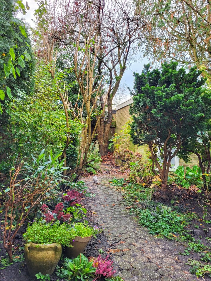 Foto 15 van Graaf Willemlaan 70