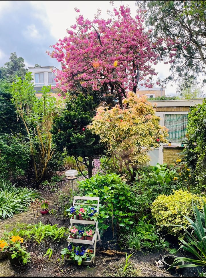 Foto 16 van Graaf Willemlaan 70