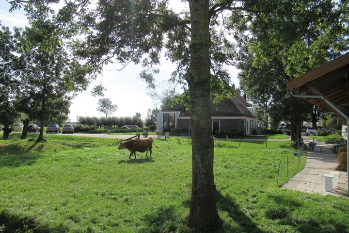 Bekijk foto 4 van Bobeldijk