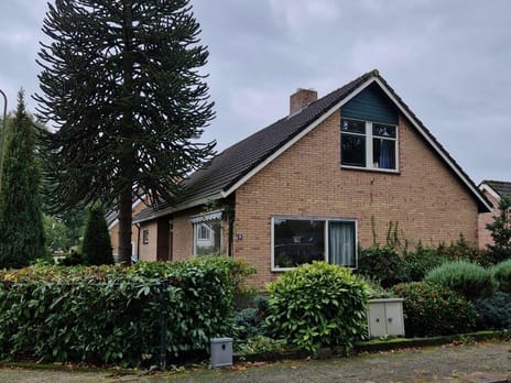 undefined main image