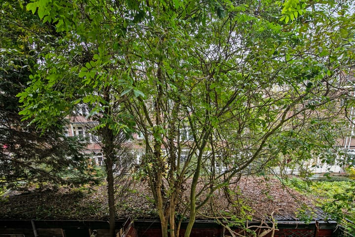 Foto 15 van Mijnsherenlaan 213-C