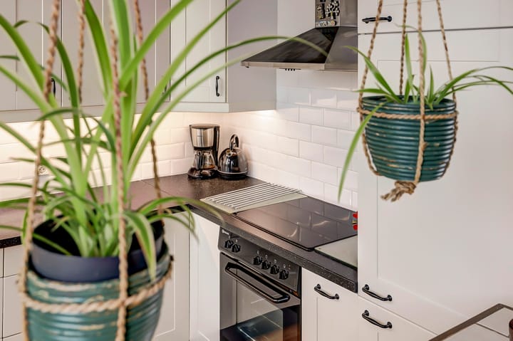 Foto 14 van Janus Erasmiusstraat 8