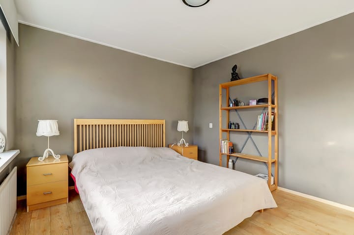 Foto 20 van Janus Erasmiusstraat 8