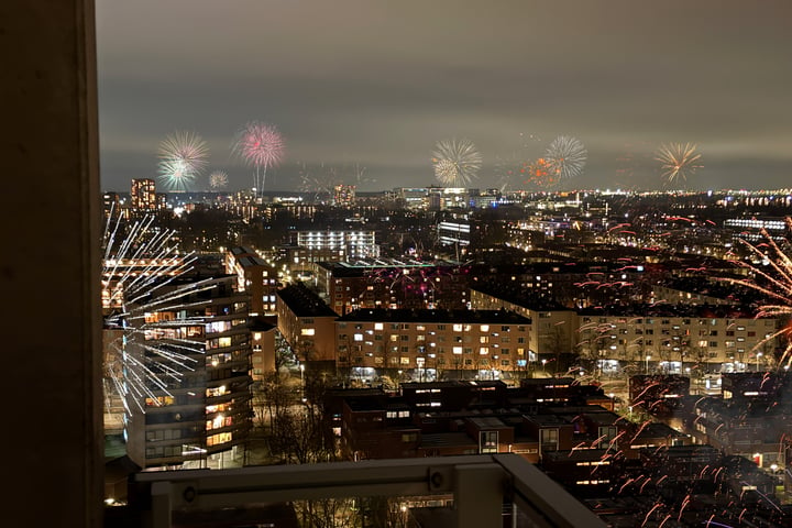 Bekijk foto 1 van Tretjakovlaan 124