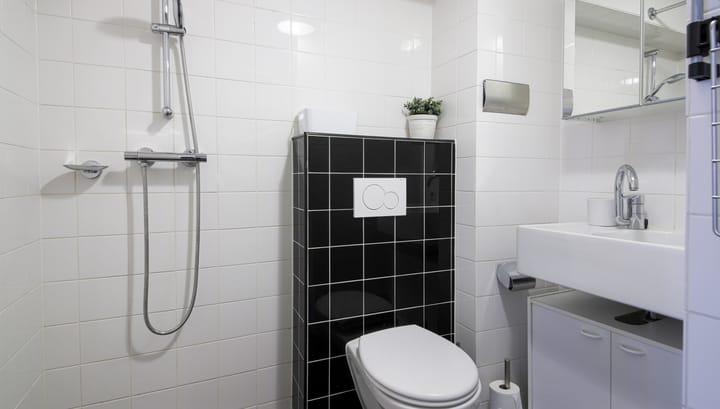 Foto 5 van Voetboogstraat 2-E