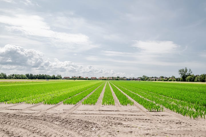 Bekijk foto 34 van Hofduynlaan 9