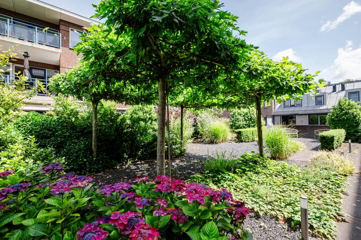 Foto 30 van Hofduynlaan 9