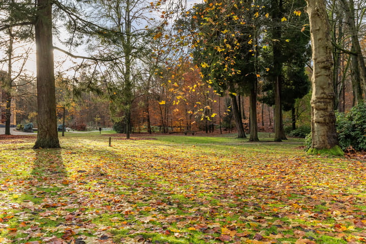 Photo 36 of Badhuislaan 81