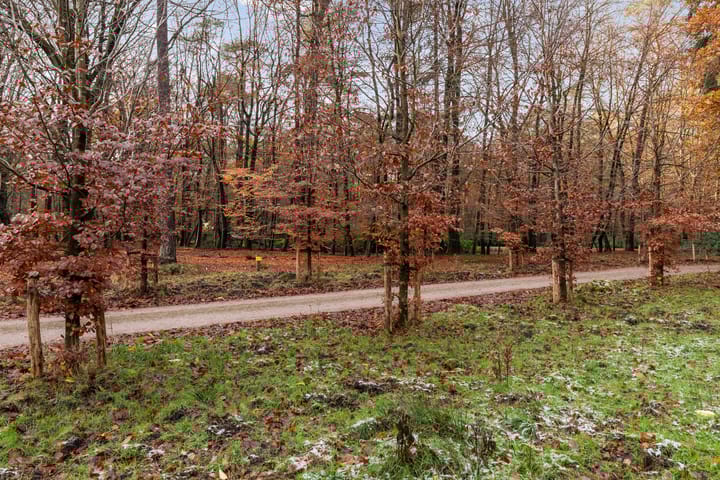 Photo 39 of Badhuislaan 81