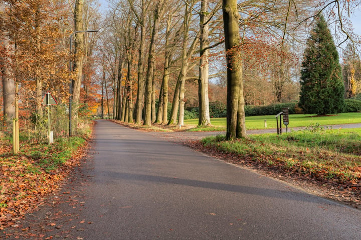 Bekijk foto 40 van Badhuislaan 81