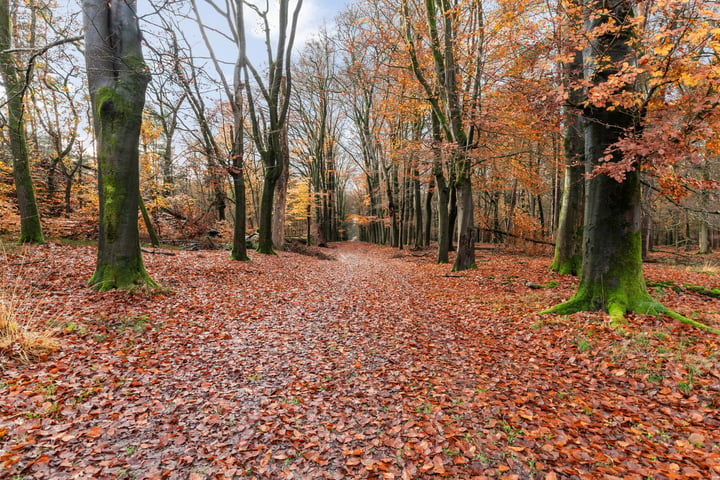 Bekijk foto 37 van Badhuislaan 81