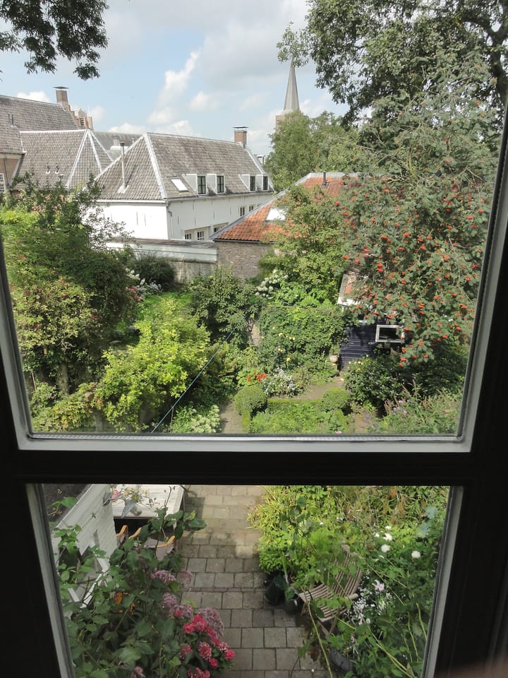 Foto 29 van Dijkstraat 13