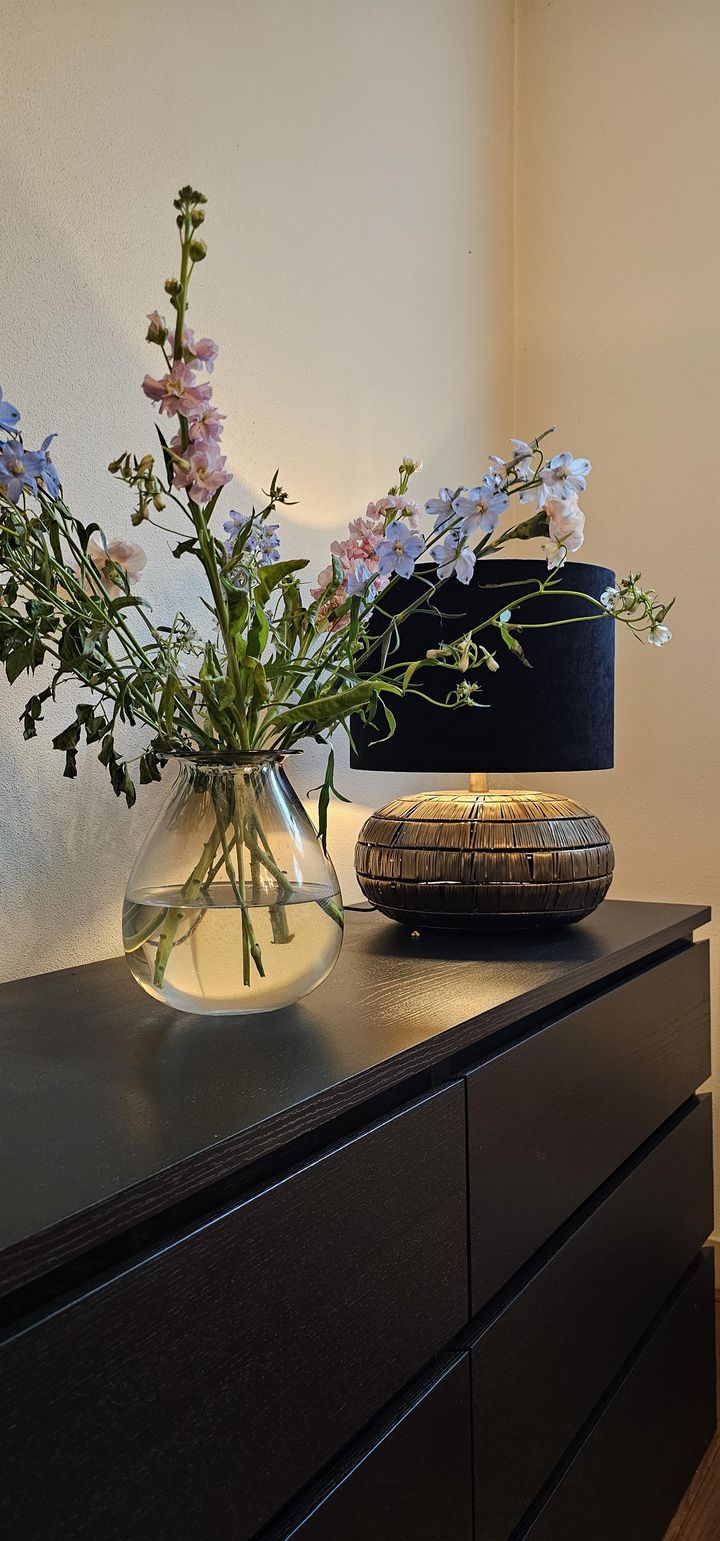 Foto 16 van Hoefkestraat 53