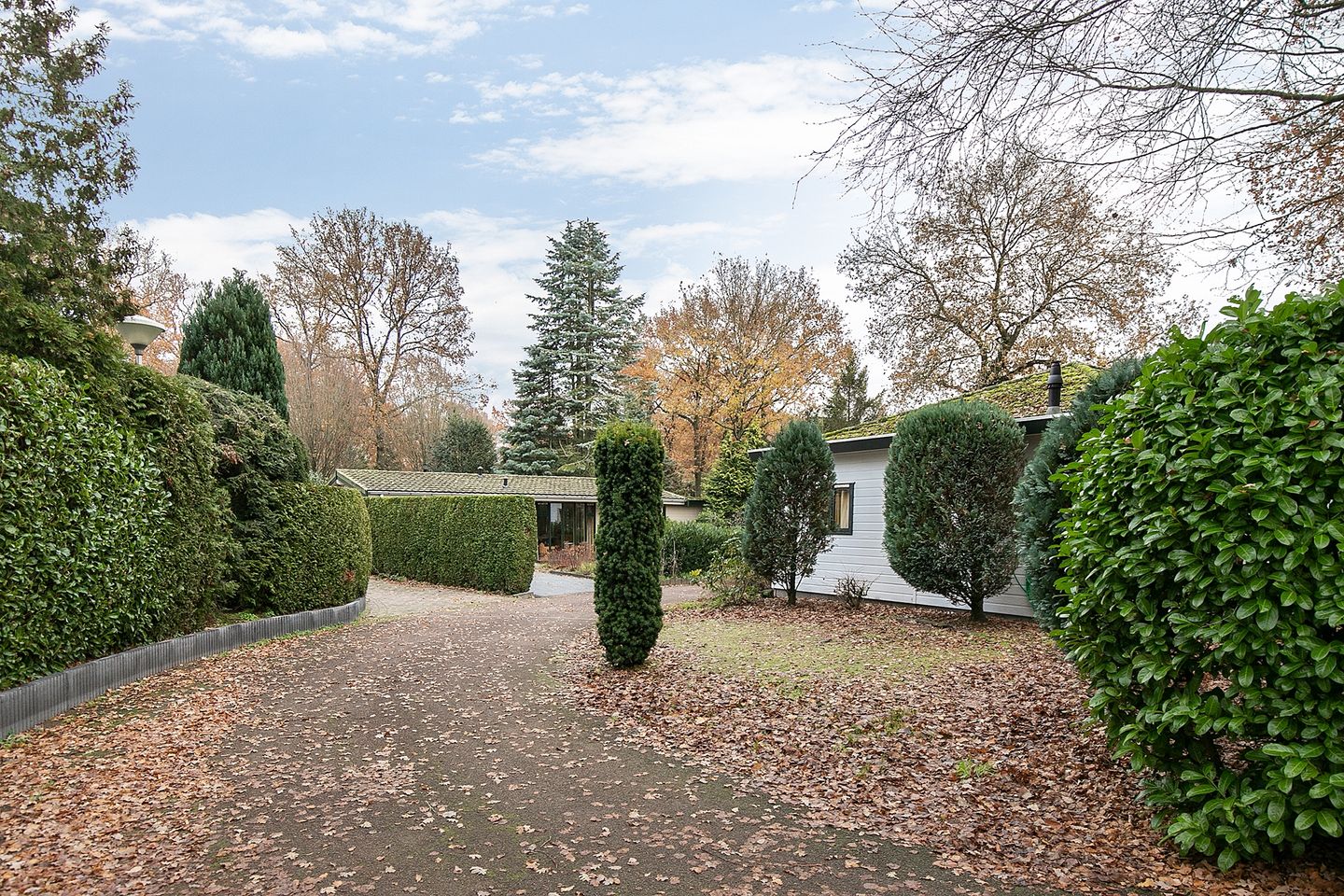 Foto 19 van Coevorderweg 27-141