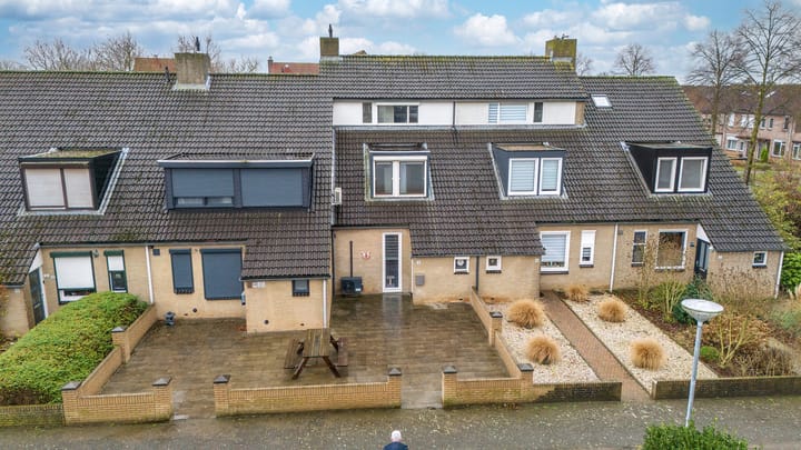 Foto 1 van Ligusterpad 6