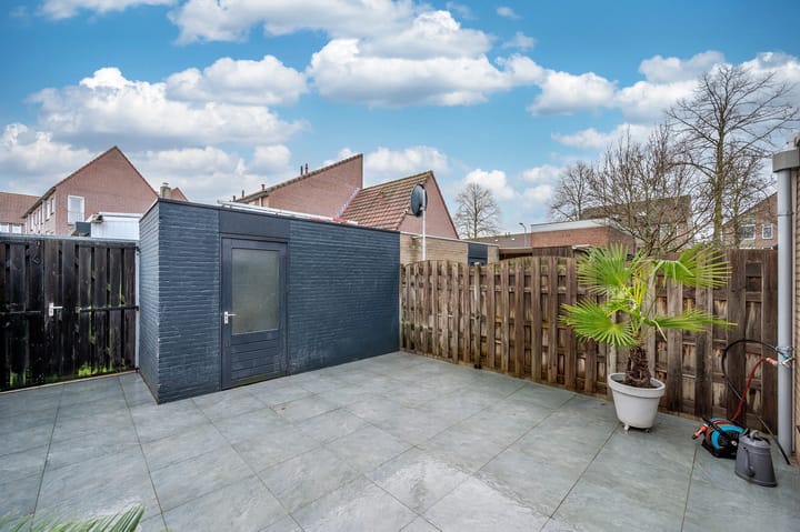 Foto 18 van Ligusterpad 6